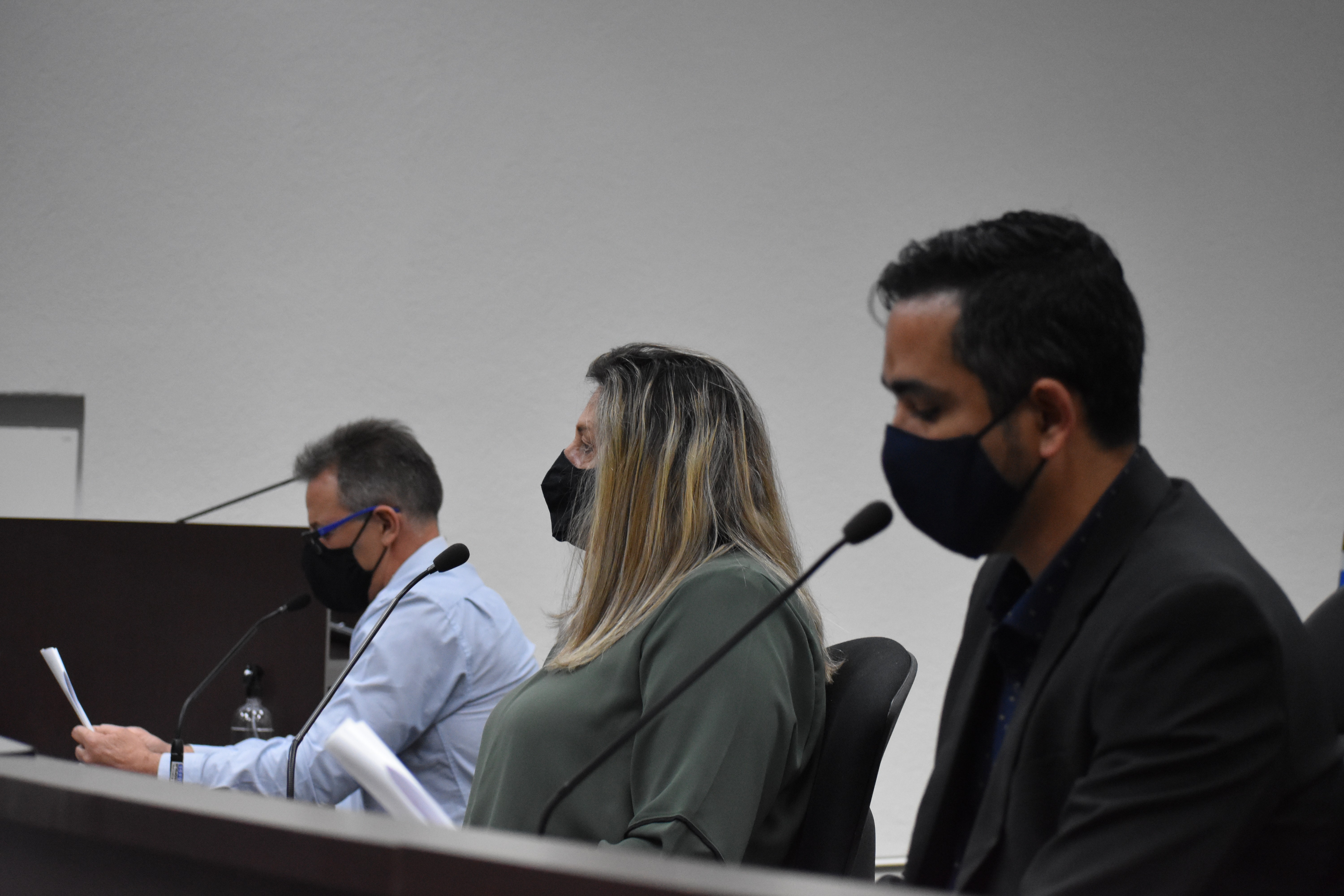 Imagem da notícia: Vereadores aprovam Sistema Municipal de Cultura