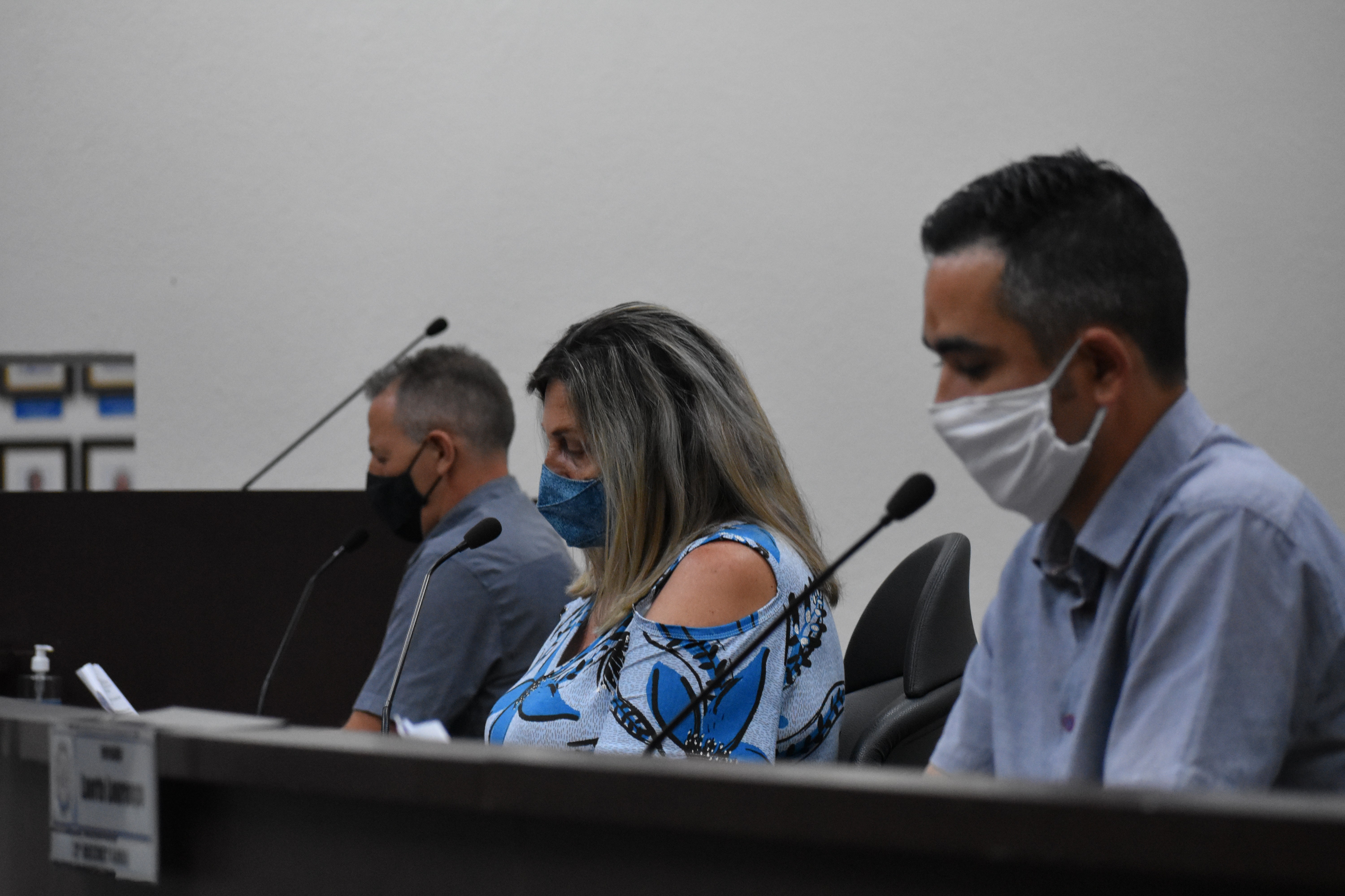 Imagem da notícia: Câmara aprova projeto sobre atividade de vigia autônomo