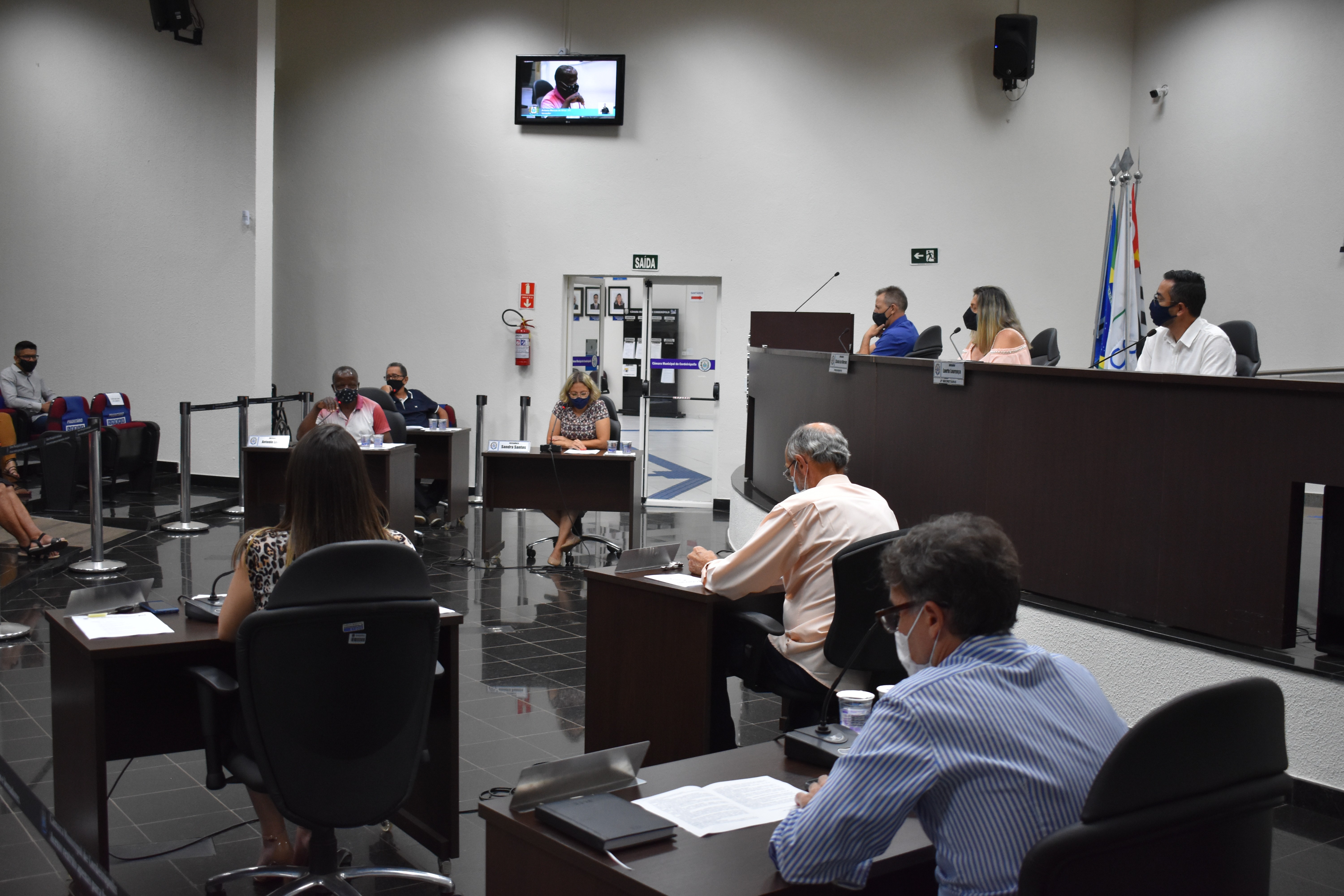 Imagem da notícia: Vereadores aprovam nova redação a projeto de lei em defesa de animais 