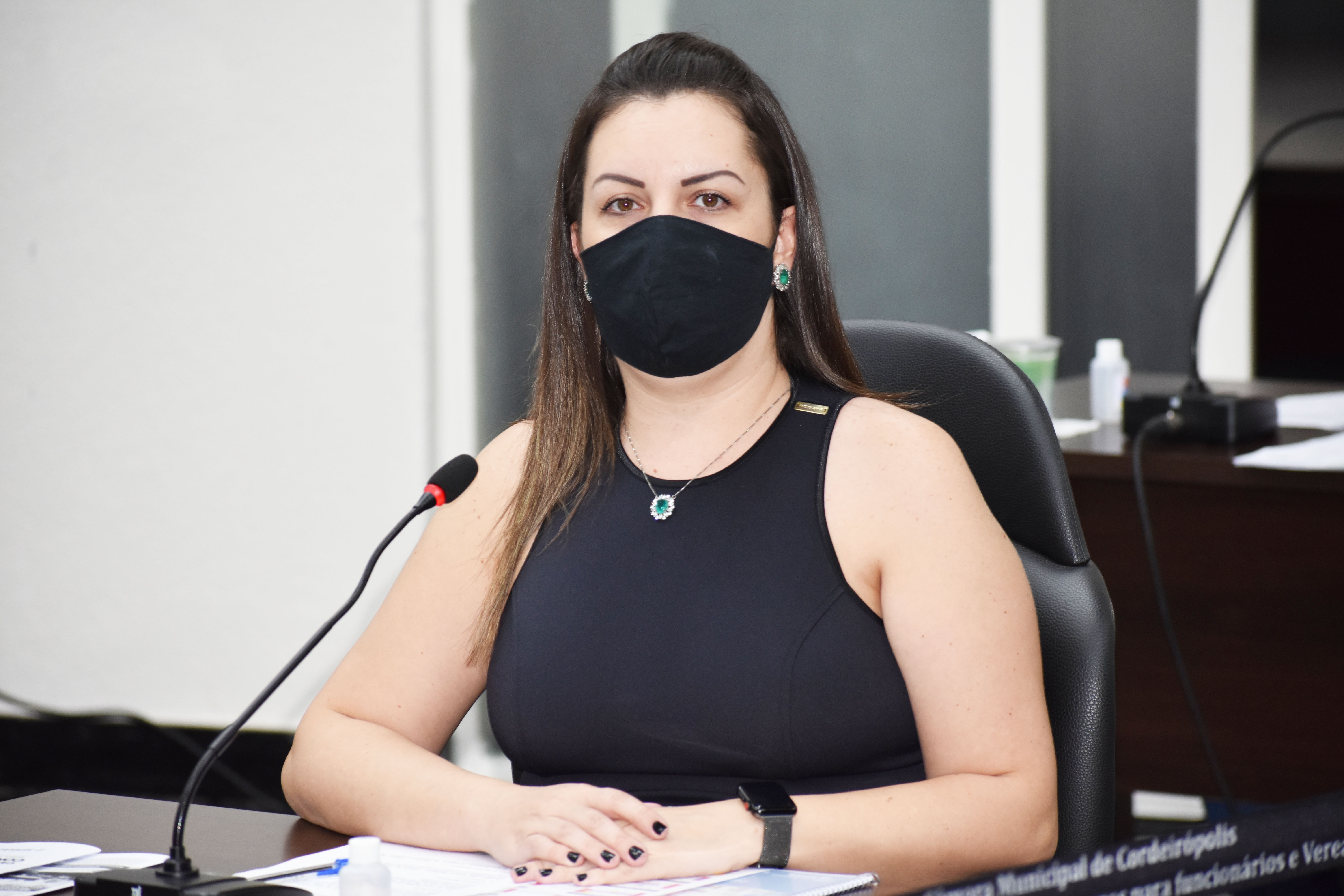 Imagem da notícia: Comissão Temporária é criada para tratar assuntos da Rodovia Cássio Freitas Levy