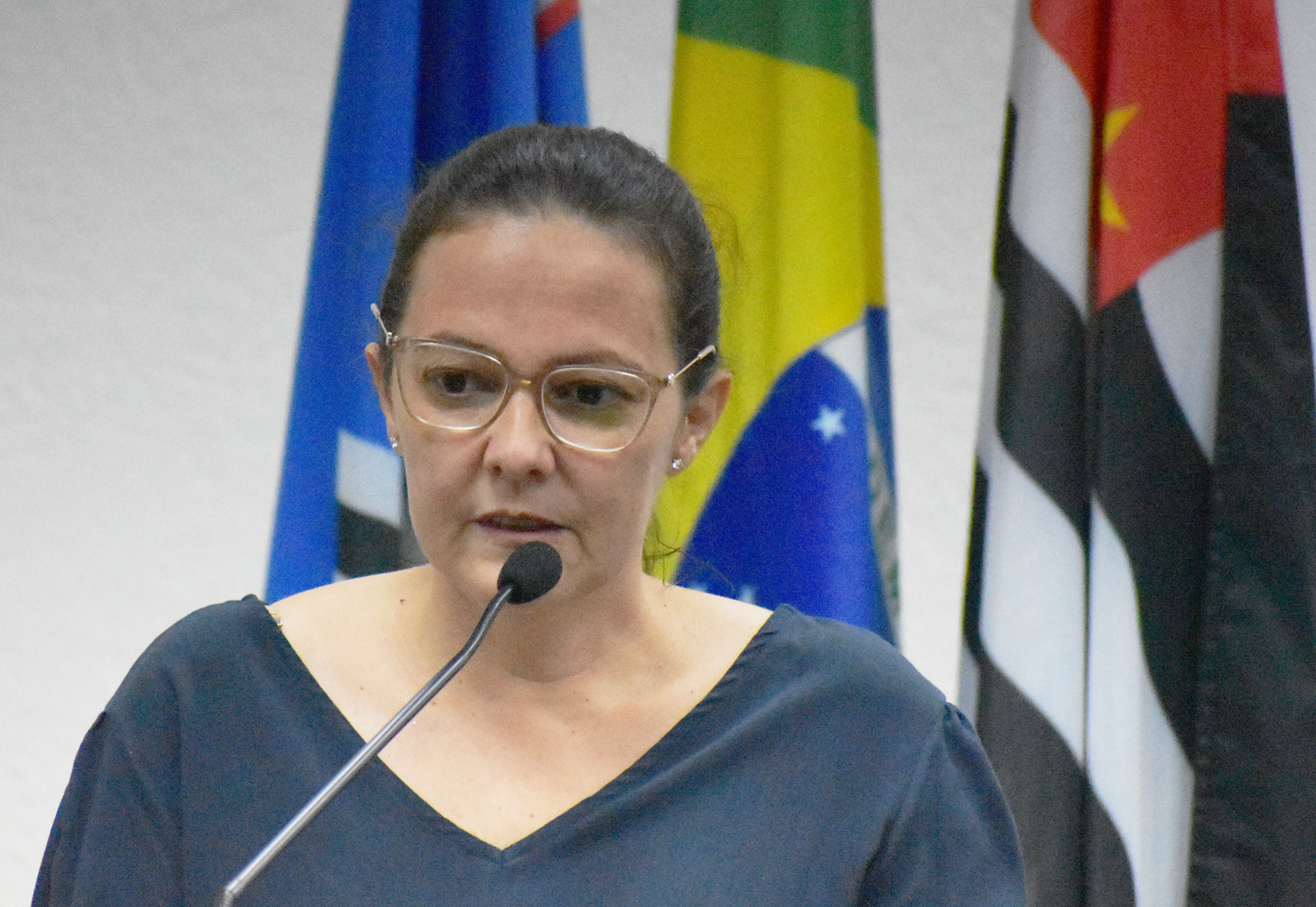 Imagem da notícia: Programa Meu Pedaço de Chão é tema de Tribuna Livre durante Sessão