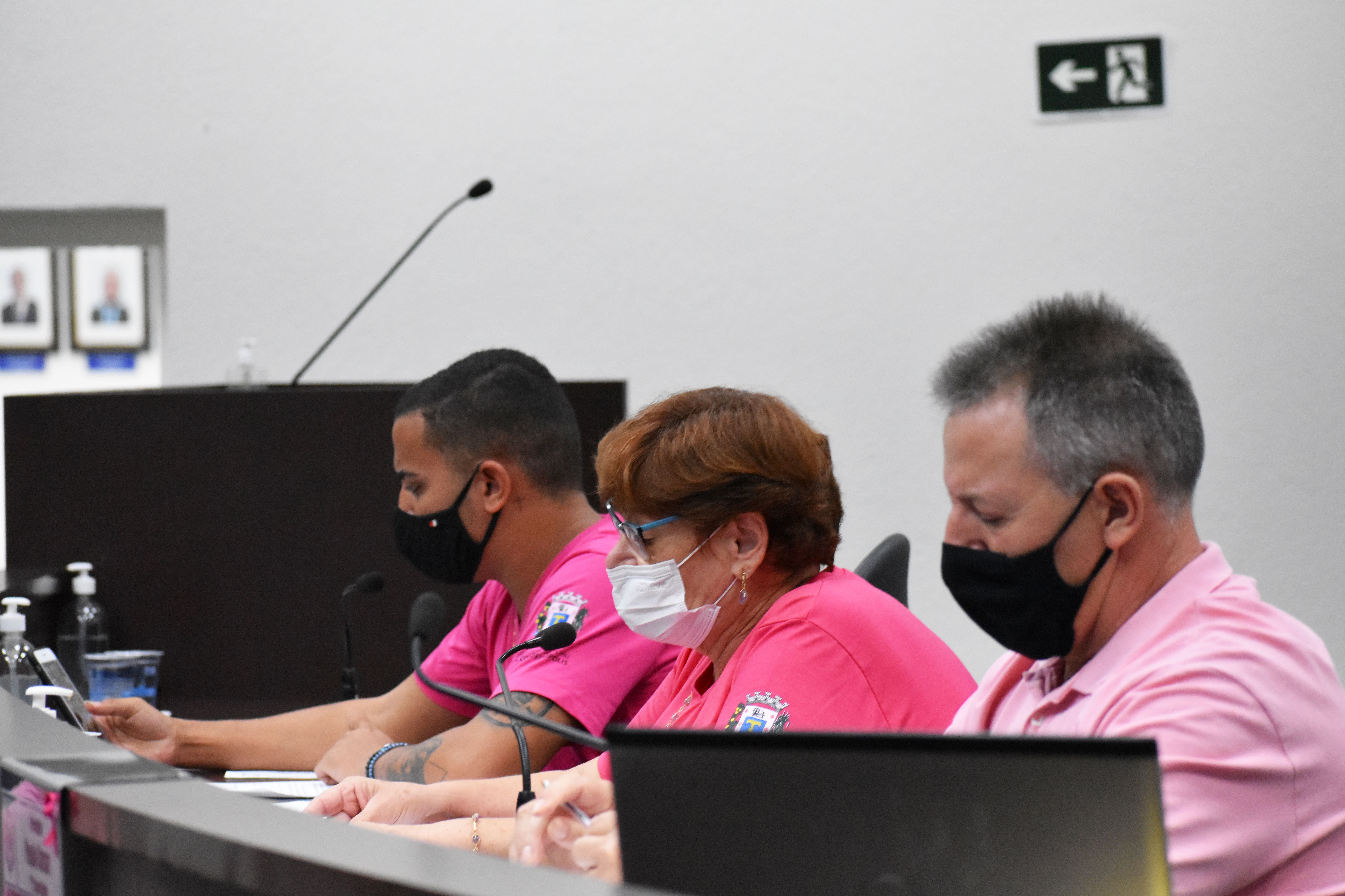 Imagem da notícia: Vereadores aprovam desafetação de área próxima à escola Amália