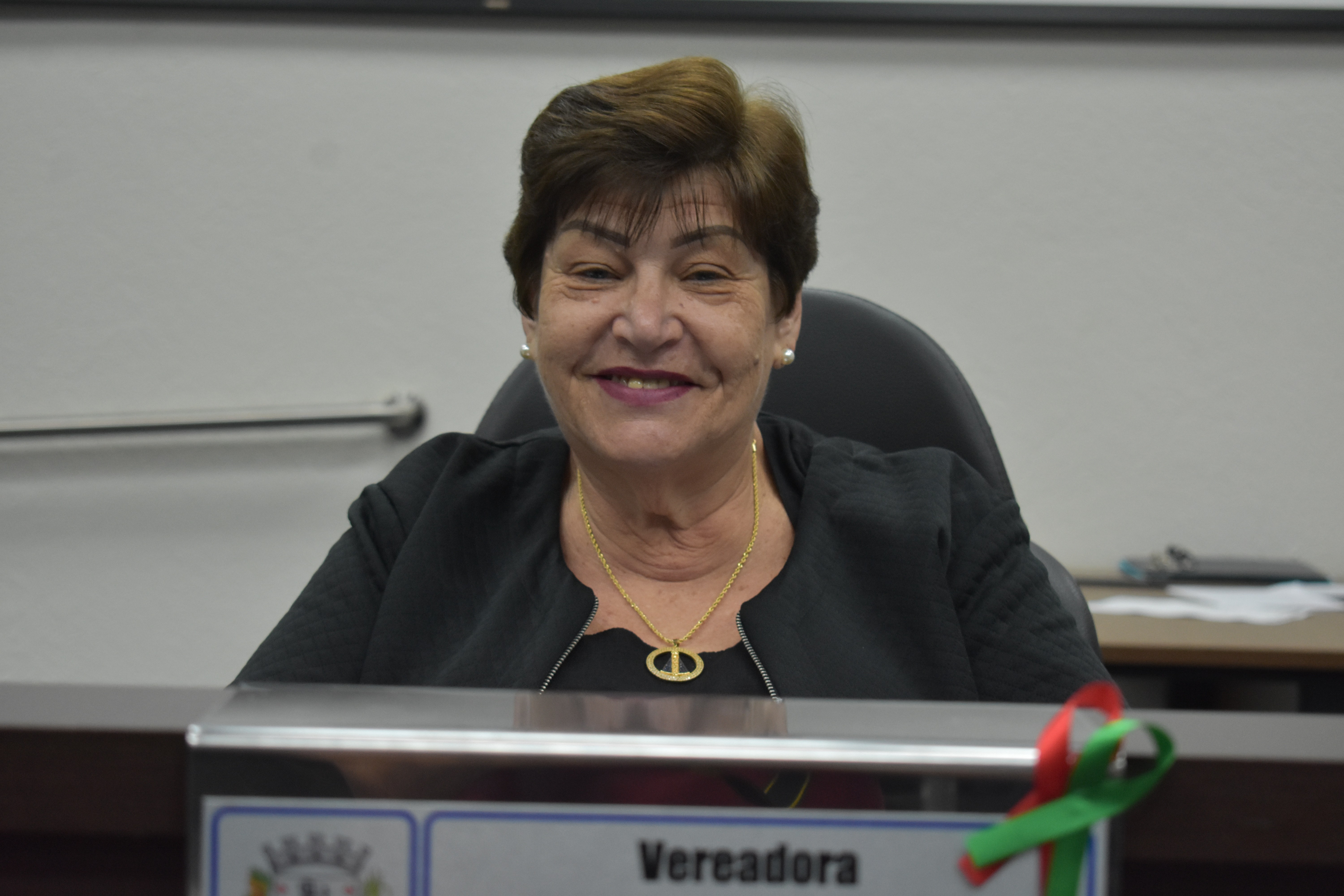 Imagem da notícia: Neusa homenageia projetor Garimpar