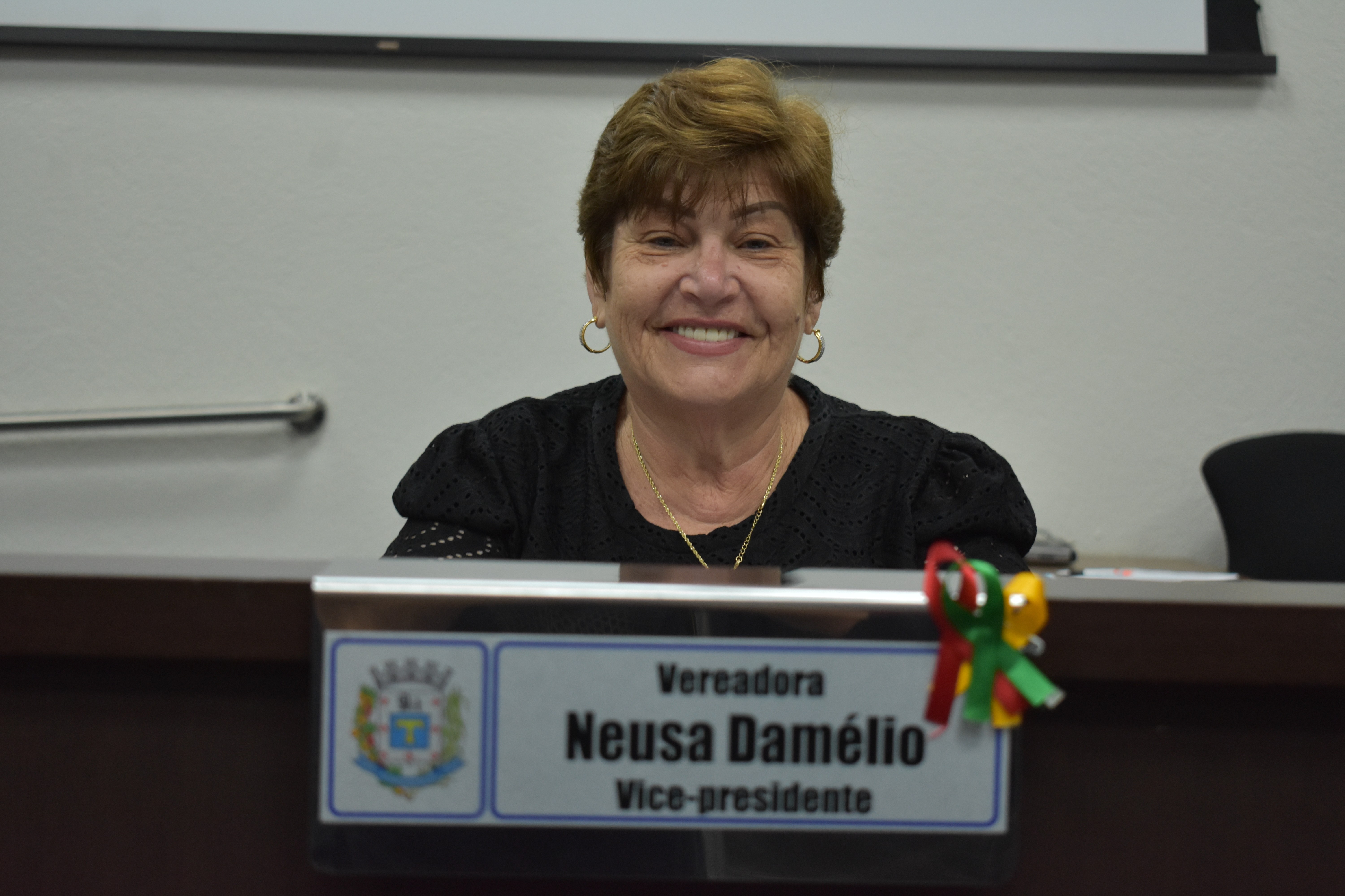 Imagem da notícia: Vereadores votam atualizações para o Programa Adote uma Praça