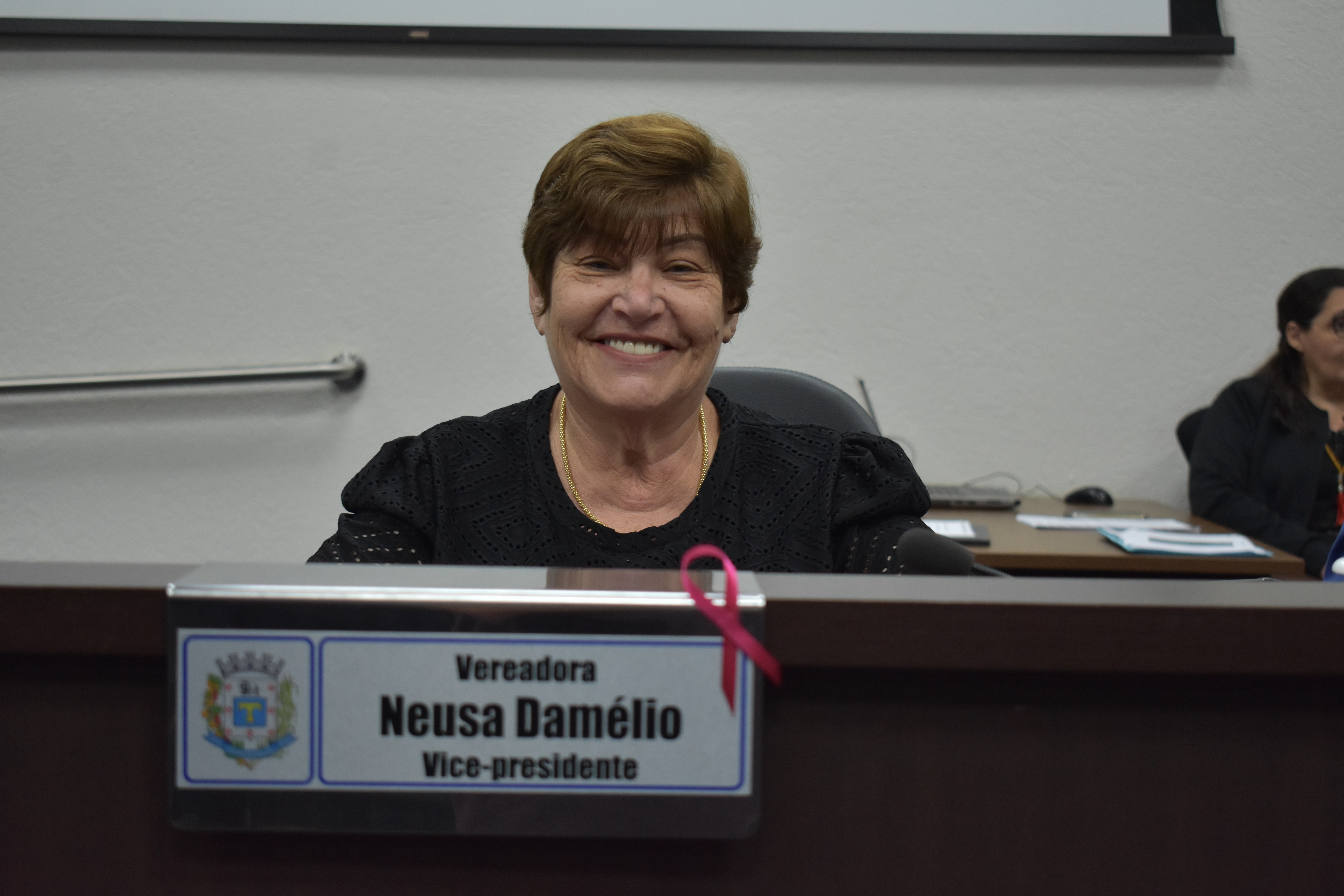 Imagem da notícia: Agosto Lilás é criado na Câmara