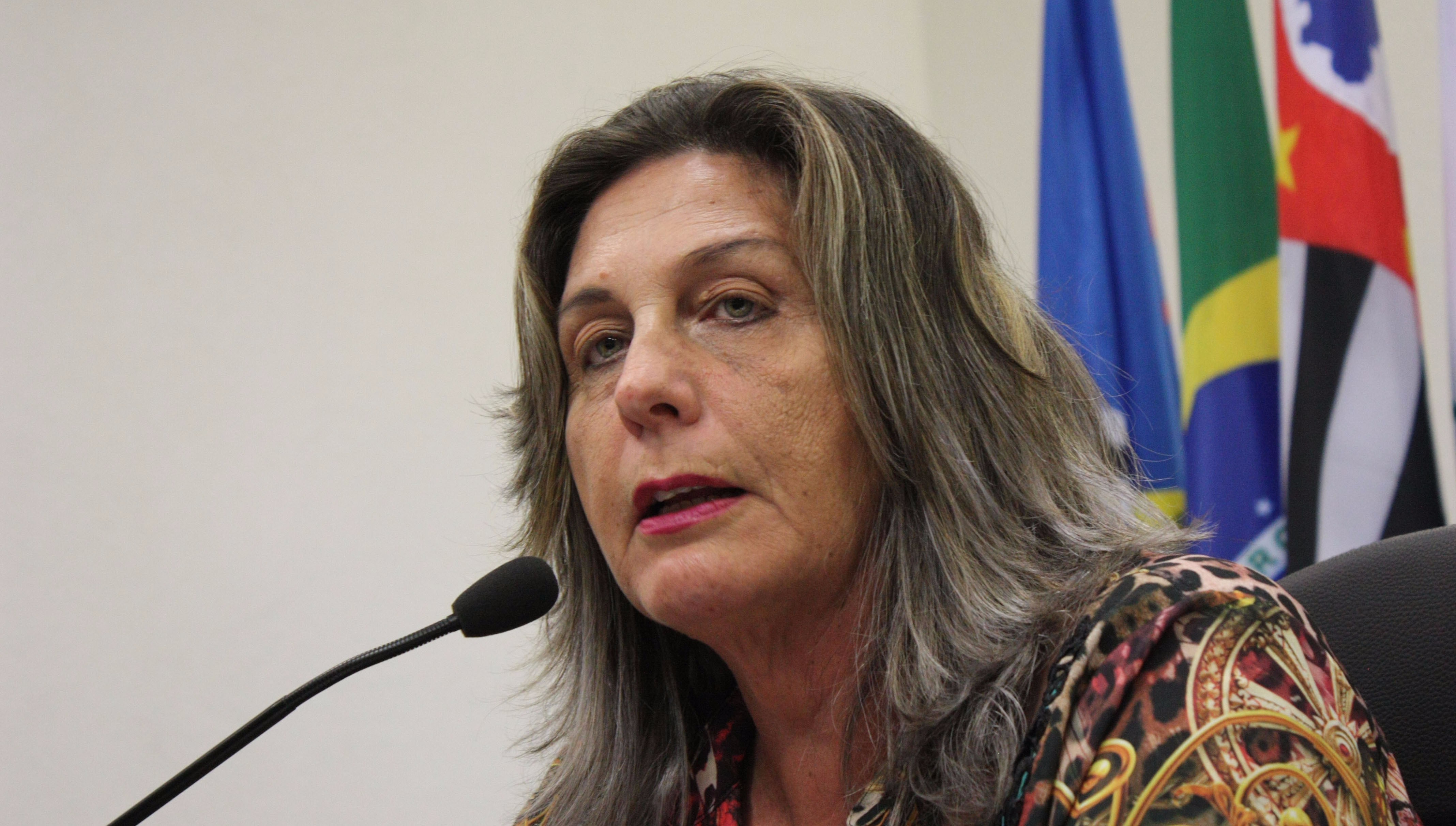 Imagem da notícia: Câmara institui "Setembro Verde"