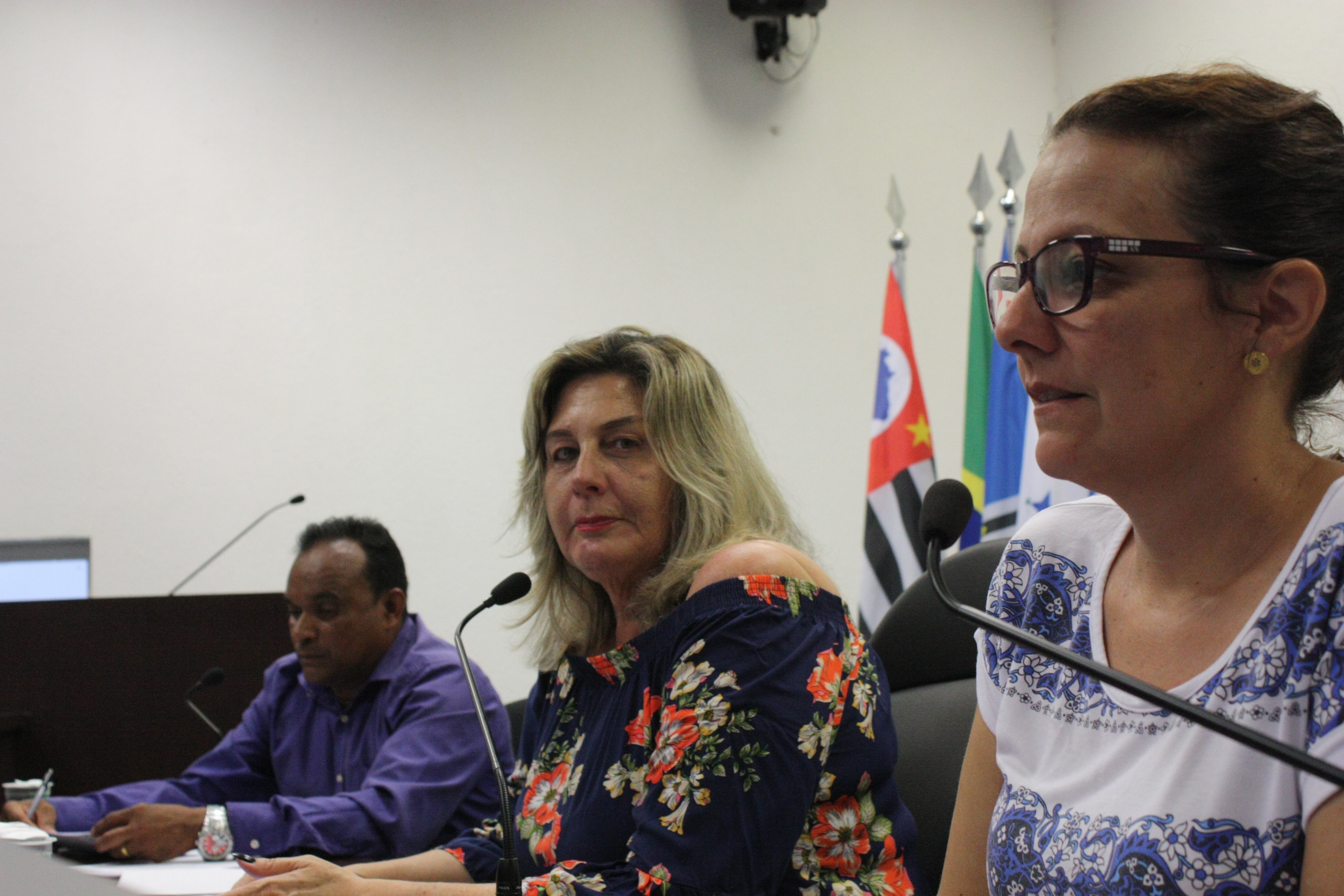 Imagem da notícia: Requerimentos e indicações são aprovados durante a 29ª Sessão