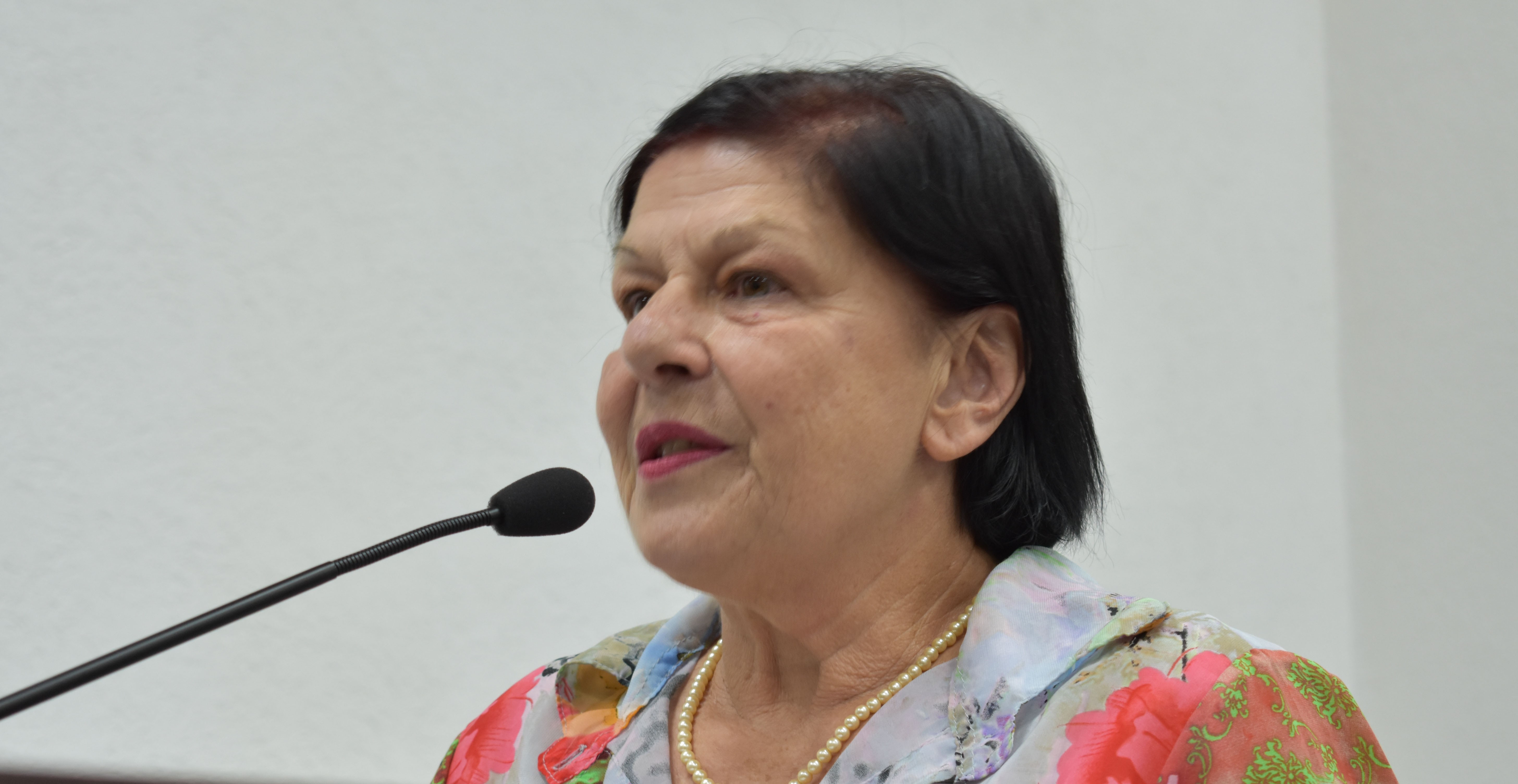 Imagem da notícia: Tribuna Livre é usada por representante do Conselho do Idoso